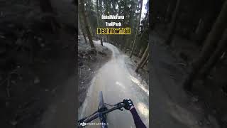 Best Flow Trail Dolnì Morava bikepark czech downhill endurotrails mtb ebike bike mountains [upl. by Mcdougall451]