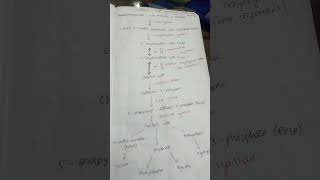 Shikimic acid pathway 5thsem bpharm bpharmpharmacy [upl. by Gilberto]