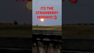 The Strawberry Moon🍓🍓🍓🍓🍓 [upl. by Eilrahs]