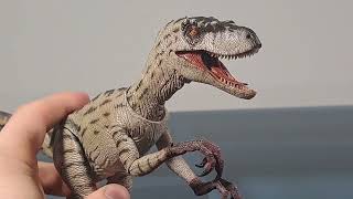 NANMU quotWhite Queenquot JURASSIC PARK 3 Female Raptor Review [upl. by Mar]