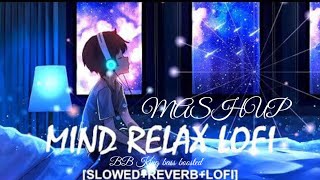 MIND RELAX SONG  MASHUP SONGS  BOLLYWOOD ROMANTIC 2024 [upl. by Minnaminnie]