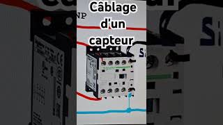 Cablage dun capteur [upl. by Erreit379]