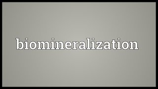 Biomineralization Meaning [upl. by Liagibba300]