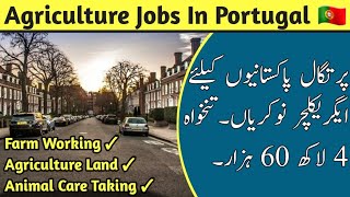 Portugal Agriculture Jobs amp Work Visa  Every Visa  HindiUrdu [upl. by Engel]