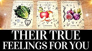 ❤️🔥 THE HONEST TRUTH About Their Thoughts amp Feelings 💞 PICK A CARD ❤️🔥 Love Tarot Reading [upl. by Tirza556]