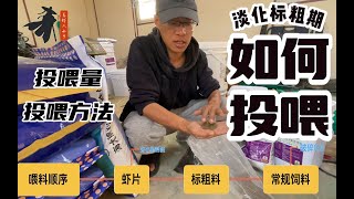 南美白对虾温棚高密度养殖，虾苗投喂方法你了解吗？ [upl. by Sivam]