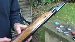 webley jaguar air rifle review [upl. by Cargian621]