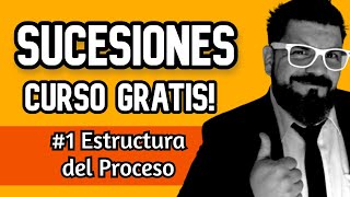 ✔️ Estructura del PROCESO SUCESORIO en Argentina  ¿Como es el trámite de una SUCESIÓN [upl. by Aikrehs]