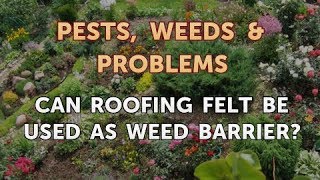 Can Roofing Felt Be Used As Weed Barrier [upl. by Saraiya]