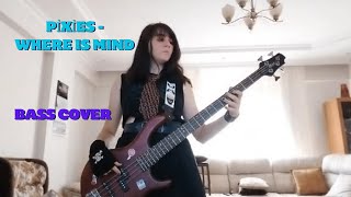 PIXIES  WHERE IS MY MIND BASS COVER [upl. by Ybeloc484]