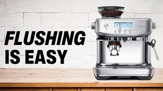 How to Flush The Breville Barista Pro [upl. by Ashok]