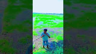 Golar mala dheere dheere kar do murshidabad huz🔥oor shop notun video [upl. by Lehcim676]