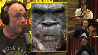 A New Theory On Neanderthals  Joe Rogan amp The Boys [upl. by Aihsilat]