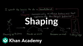 Operant conditioning Shaping  Behavior  MCAT  Khan Academy [upl. by Yakcm]