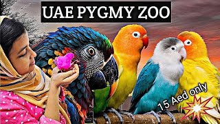 Uae pygmy zoo Ajman Al Zorah animal park Uae touristplace in ajman malayalam [upl. by Lekkim]