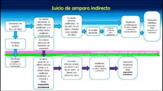 Procedimiento del juicio de amparo indirecto [upl. by Garap]