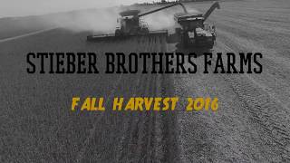 Fall Harvest Stieber Brothers Farms [upl. by Ursulina]