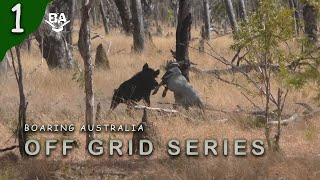 OFF GRID SERIES EP1 Pig hunting series with dogs drones and Pulsar thermal scope [upl. by Gervais]