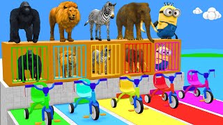 Cow Elephant Tiger Gorilla Hippo 3d Animal Long Slide Game Funny 3d Paint Animals Cage Game [upl. by Marlie]