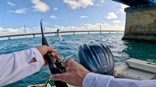 TARPON Tournament FISHING the Florida Keys [upl. by Olson]