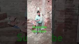 Maston ka jhund bollywoodsongs viralvideo dancevideo [upl. by Ailey]