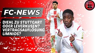 1 FC Köln Interesse an Diehl  Vertragsauflösung Limnios  Christensen [upl. by Dyun]