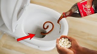 Experiment  SNAKE vs TOILET Coca Cola and Mentos [upl. by Nali]