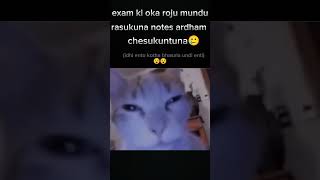 Kotha bhasa 😵exam examfunnyvideo exams funny funnyshorts trending shorts memes students [upl. by Hcirdeirf500]