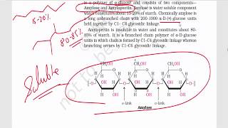 Biomolecules Part 3  Disaccharides amp Polysaccharides  Sucrose Maltose Lactose Starch [upl. by Marcos694]