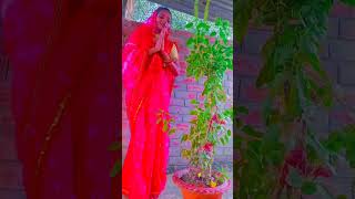 tulsi Mata vansh maurya ji vlogs [upl. by Omsare]