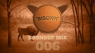 Bisonn Roundup Mix 006 Bass House  Tech House [upl. by Ibson]