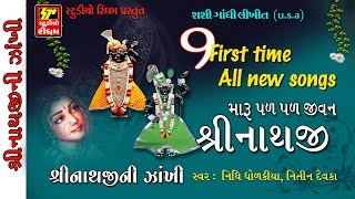 SHRINATHJI ALL NEW SONGS 2017 II GUJRATI SUPER HITS SHRI SONGS [upl. by Medor941]