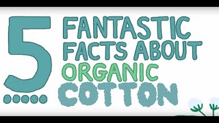 Five Fantastic Facts about Organic Cotton [upl. by Sirron444]