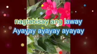 ROSAS PANDAN by shake with lyrics [upl. by Htebiram641]