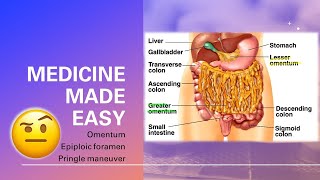 Omentum Omental foramen Pringle Maneuver  fast and easy  MEDICINE MADE EASY [upl. by Gobert]