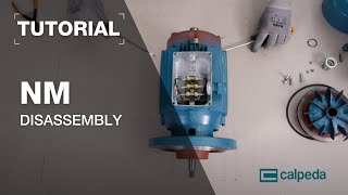 How to disassemble NM centrifugal pumps in 19 steps [upl. by Fancy]