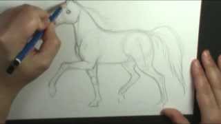 How to draw a horse trotting [upl. by Leksehcey]