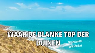 Waar de blanke top der duinen  Instrumentaal  Nederlandse Volksliedjes [upl. by Madaih535]