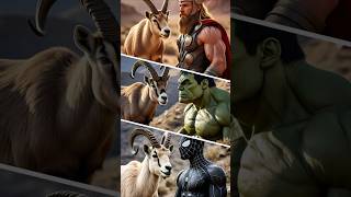 Incredible fusion l Thor l hulk l spiderman l ibex [upl. by Ynnor]