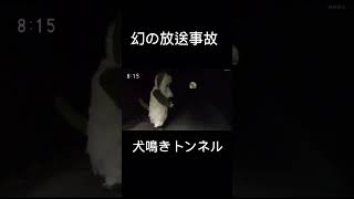 ［いないないばぁ！］忘れた頃にやってくる 伝説の放送事故。犬なきトンネル 放送事故 nhk ワンワン [upl. by Pavyer]