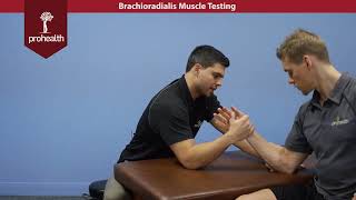 Brachioradialis Muscle Test Palpation Dr Vizniak Muscle Manual [upl. by Airdnahc]