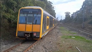 Gymea Trainspotting [upl. by Enytsuj]