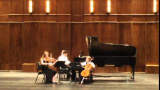 Piano Trio Op 159 No 1Carl Reinecke 18241910 [upl. by Anelram]