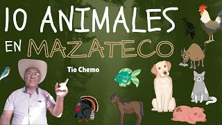 10 Animales en Mazateco Tío Chemo [upl. by Llednik]