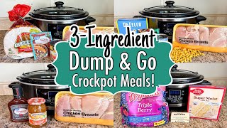 6 DUMP amp GO CROCKPOT DINNERS  The BEST Quick amp EASY 3INGREDIENT Slow Cooker Meals  Julia Pacheco [upl. by Miahc60]