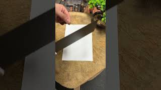 Extremely sharp good knife recommendation slicing knife [upl. by Aneba973]