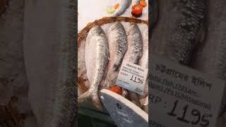 Hilsha mela at unimart sylhet branch shortsvideo fish [upl. by Backer339]