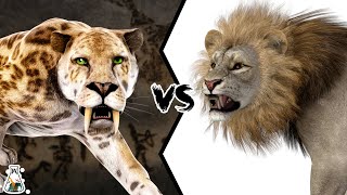 SABERTOOTHED TIGER VS AMERICAN LION  Which Wild Cat Was Stronger [upl. by Znerol]