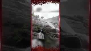 Courtallam Flash Flood  குற்றாலத்தில் நேற்று ஏற்பட்ட திடீர் வெள்ளம் பரபரப்புக் காட்சிகள் [upl. by Angie]