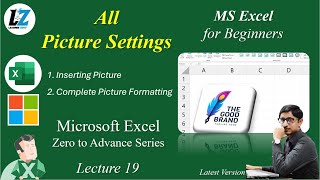 19 Complete Picture Settings in MS Excel  Free Course for Beginners in Urdu Hindi excel teacher [upl. by Idet]